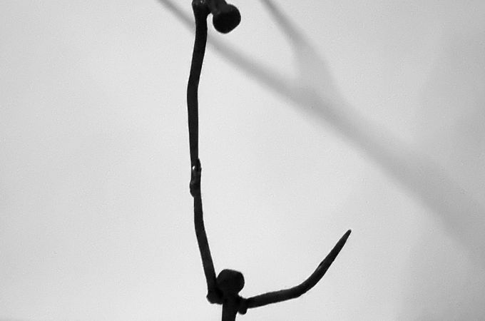 Una speranza che va scelta